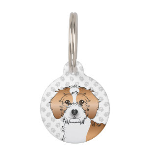 Aprikosenfarbener Parti-color Mini Goldendoodle Hu Haustiermarke
