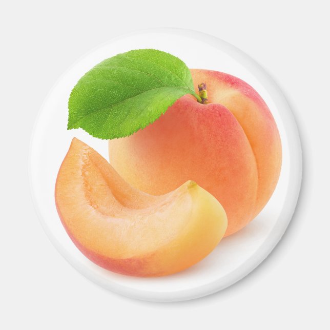 Aprikosenobst Magnet (Vorne)