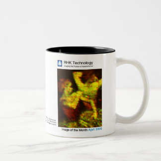 April 2006 - RHK Technologie: Bild des Monats Zweifarbige Tasse