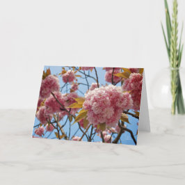 April Blüten [Grußkarte] Karte