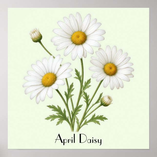April Daisy Flowers Poster (Vorne)