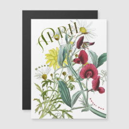 April Monat Blumen Süße Erbse Gänseblümchen Fancy Magnetkarte
