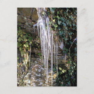 April Morning Postkarte