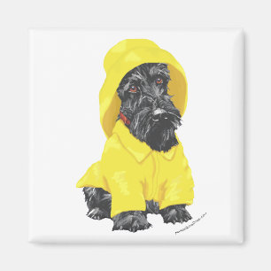 April-Schauer Scottish Terrier Magnet