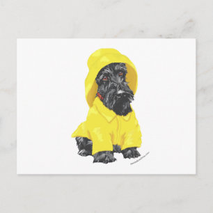 April Showers Scottish Terrier Postkarte