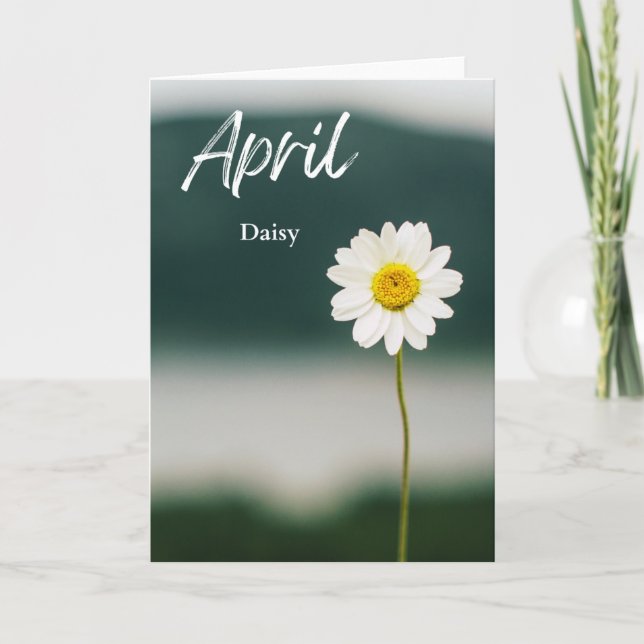 April White Daisy Birth Monat Blume Geburtstag Karte (Vorderseite)