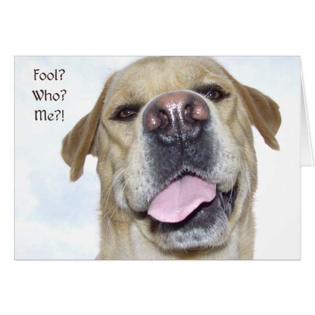 Aprilscherz (Vorderseite (Horizontal))