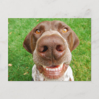 APS Smile Postkarte