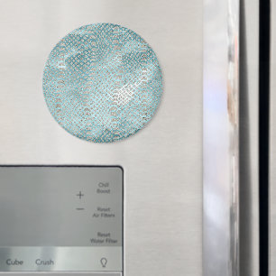 Aqua Blau Silber Schlangenprint Magnet
