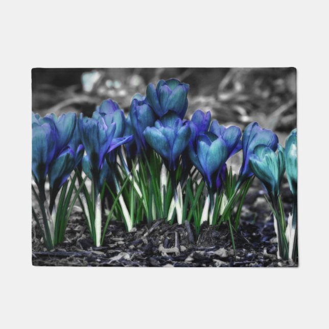Aqua Blue Crocus Blooms Fußmatte (Vorderseite)