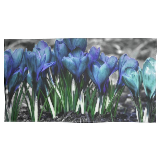 Aqua Blue Crocus Blooms Kissenbezug (Vorderseite)