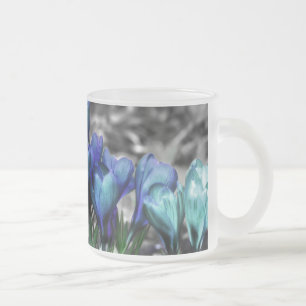 Aqua Blue Crocus Blooms Mattglastasse
