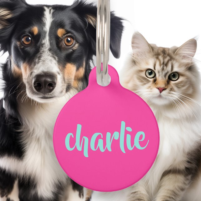 Aqua blue name phone number script bold hot pink haustiermarke (Aqua blue name phone number script bold hot pink pet ID tag)