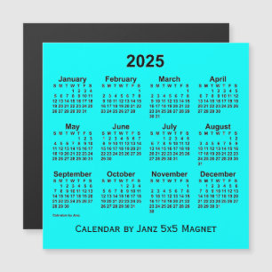 Aqua Calendar 2025 von Janz 5x5 Magnet