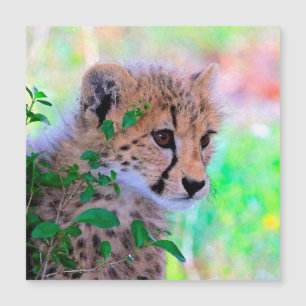 Aqua_Cheetah_20180102 Magnetkarte