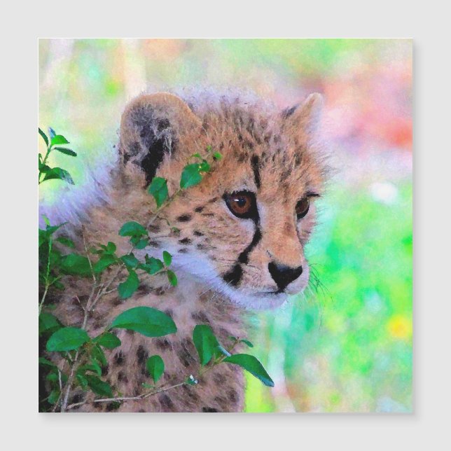 Aqua_Cheetah_20180102 Magnetkarte (Vorderseite)