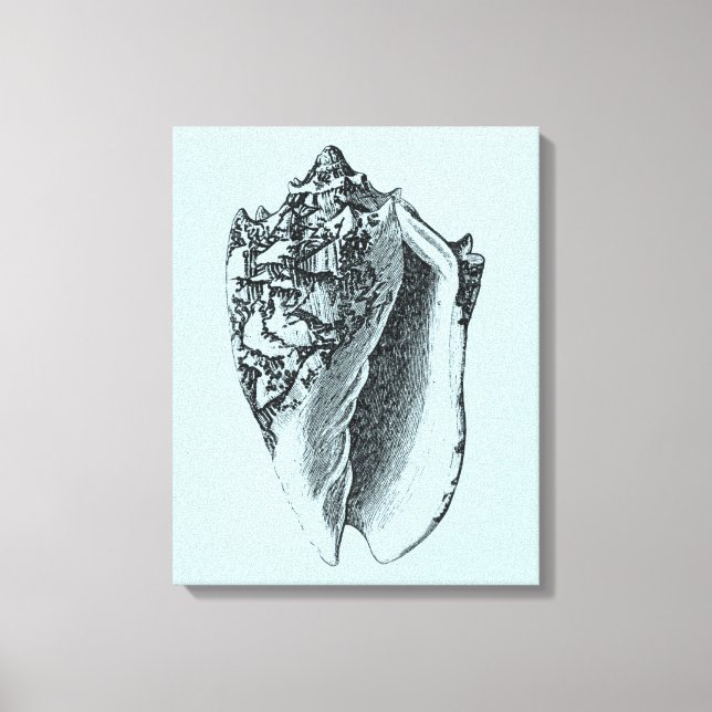 Aqua Conch Muschel Leinwanddruck (Vorderseite)