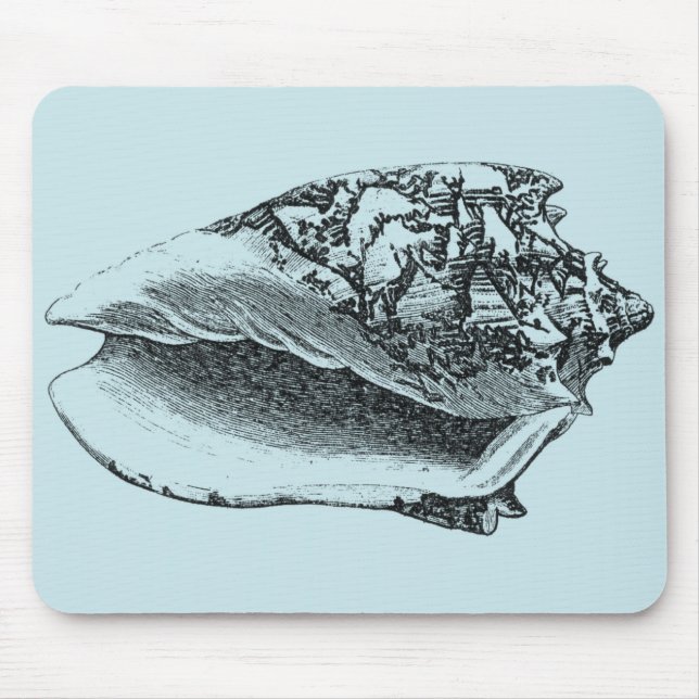 Aqua Conch Muschel Mousepad (Vorne)