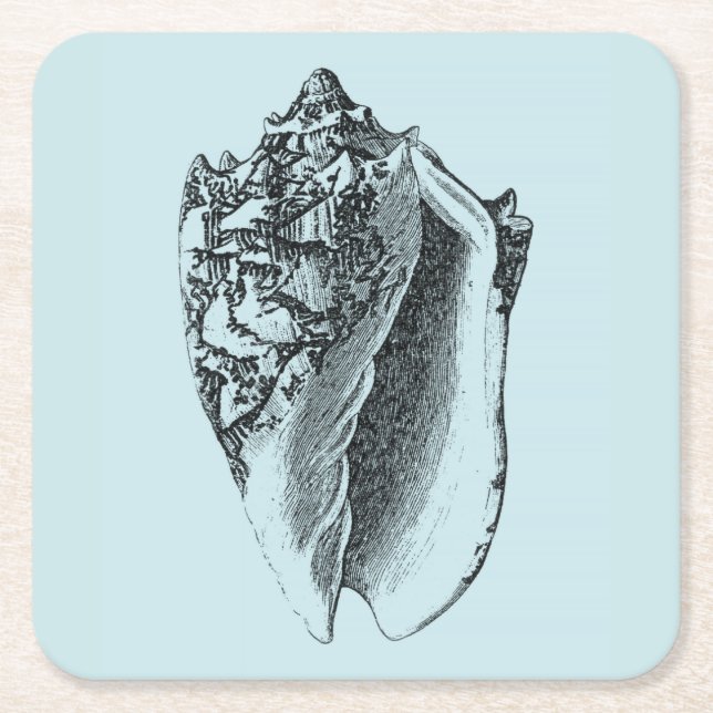 Aqua Conch Muschel Rechteckiger Pappuntersetzer (Vorderseite)
