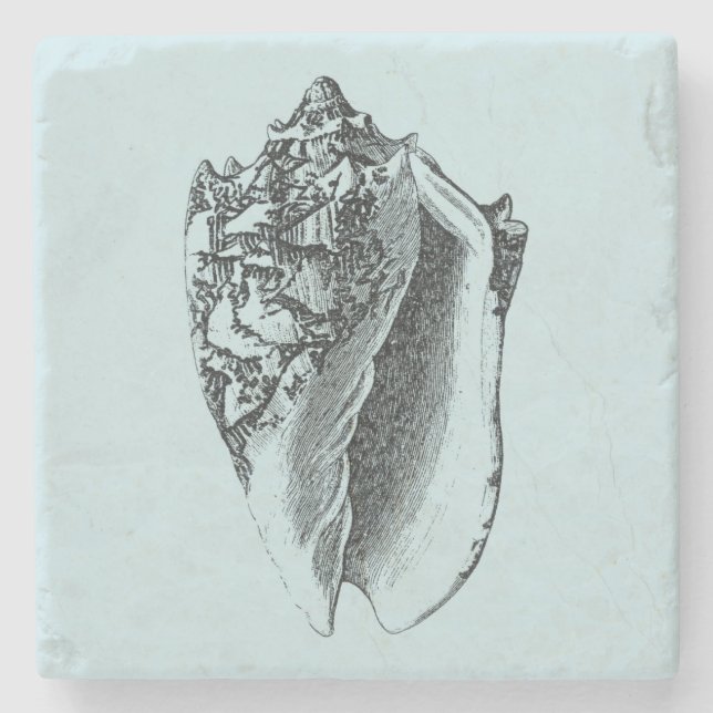 Aqua Conch Muschel Steinuntersetzer (Vorderseite)