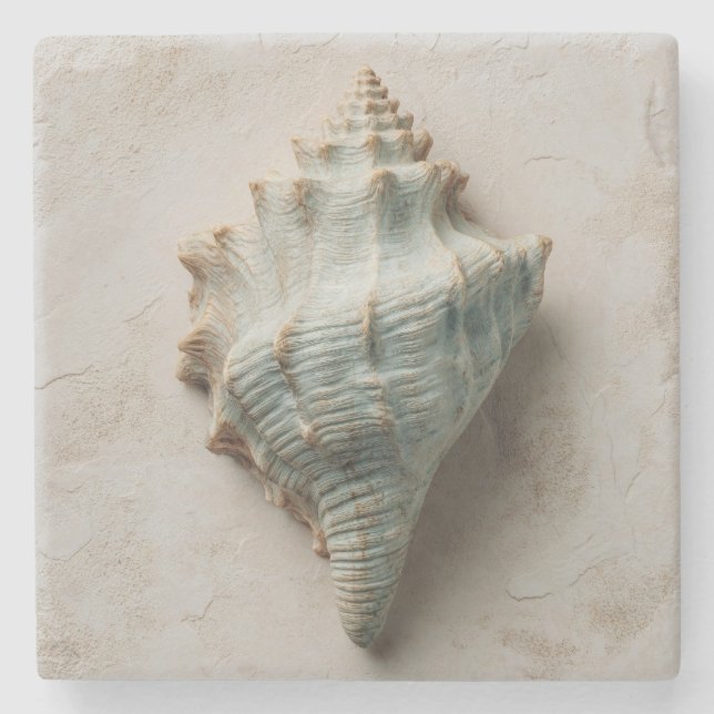Aqua Conch Shell Coastal Art Steinuntersetzer (Vorderseite)