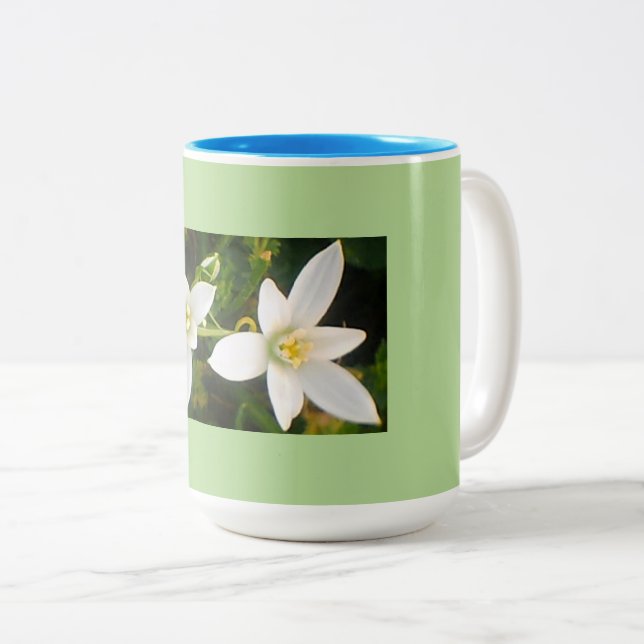 Aqua Green Spring Time Zweifarbige Tasse (VorderseiteRechts)