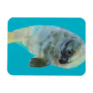 Aqua-Grün Magnet