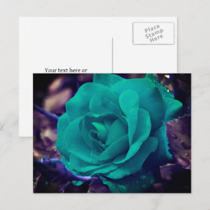 Aqua Rose Blume Personalisiert Postkarte