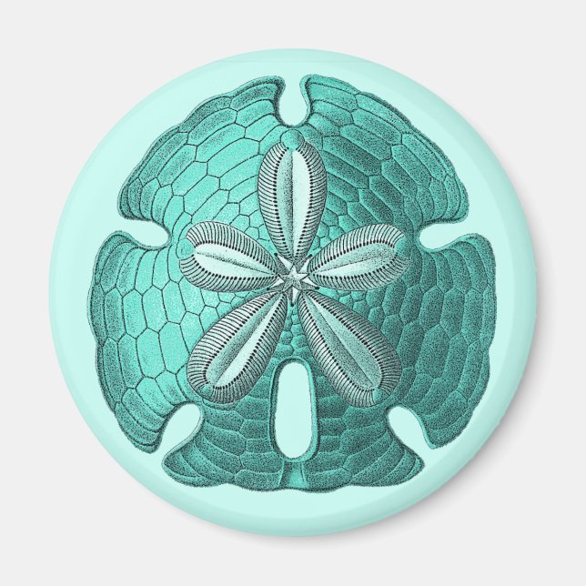 Aqua Sand Dollar Magnet (Vorne)