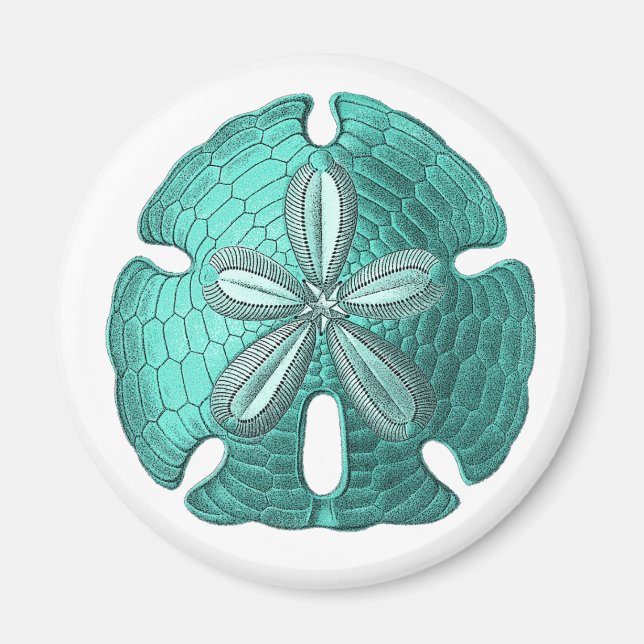 Aqua Sand Dollar Magnet (Vorne)