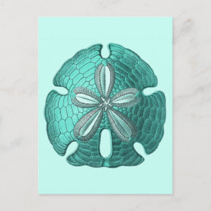 Aqua Sand Dollar Postkarte