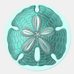 Aqua Sand Dollar Runder Aufkleber