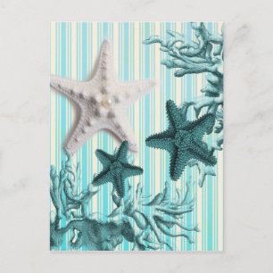 Aqua-Seesterne-Seashells Postkarte
