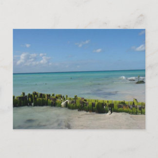 Aqua Serenity Postkarte