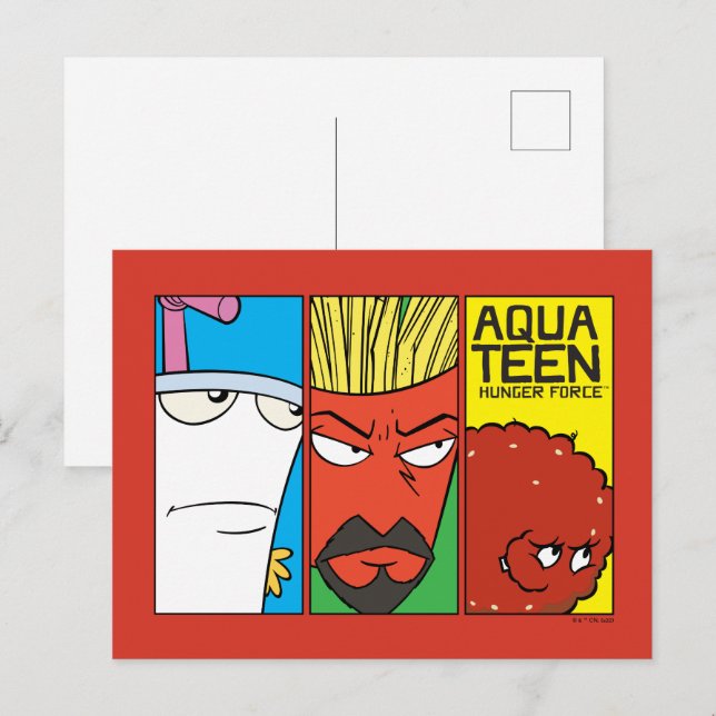 Aqua Teen Hunger Force Character Panel Graphic Postkarte (Vorne/Hinten)