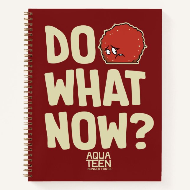 Aqua Teen Hunger Force Meatwad "Do What Now?" Notizbuch (Vorderseite)