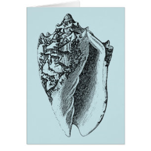 Aqua-Tritonshorn-Muschel