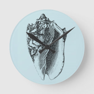Aqua-Tritonshorn-Muschel Runde Wanduhr