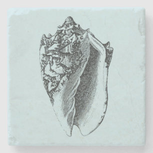 Aqua-Tritonshorn-Muschel Steinuntersetzer