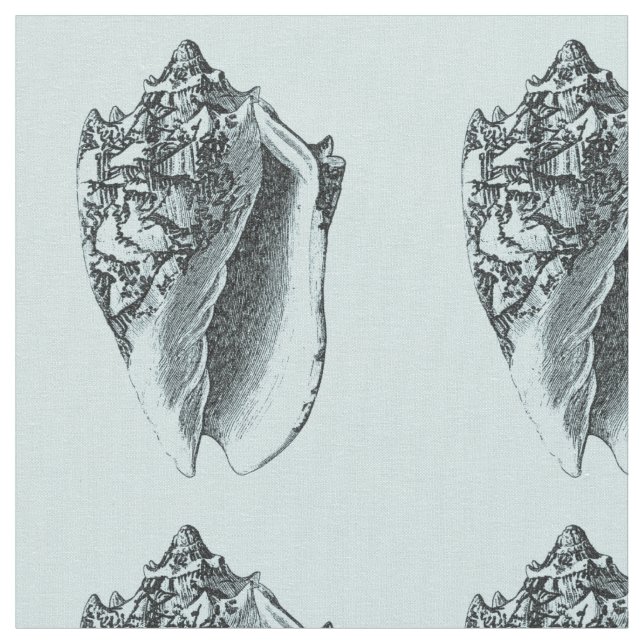 Aqua-Tritonshorn-Muschel Stoff (Nahaufnahme)