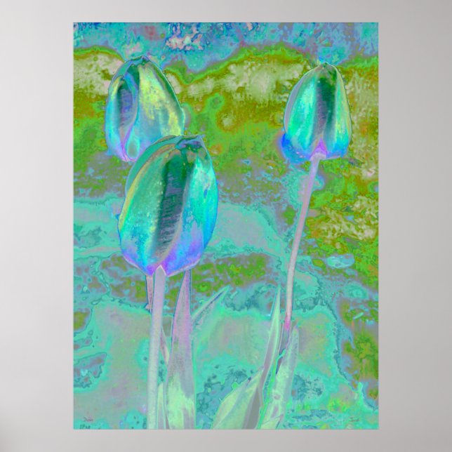 Aqua Tulip Digital Art Poster (Vorne)