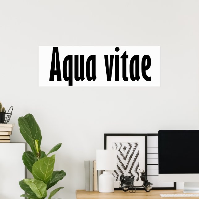 Aqua vitae poster (Heimbüro)