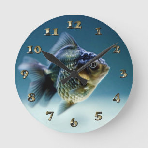 Aquakultur Runde Wanduhr