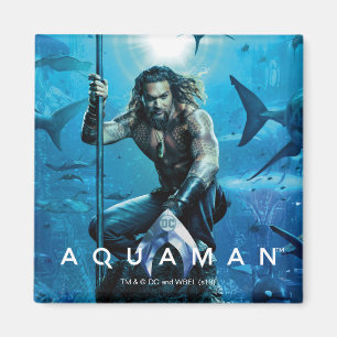 Aquaman   Wassertiere Prinz-Orin With Magnet