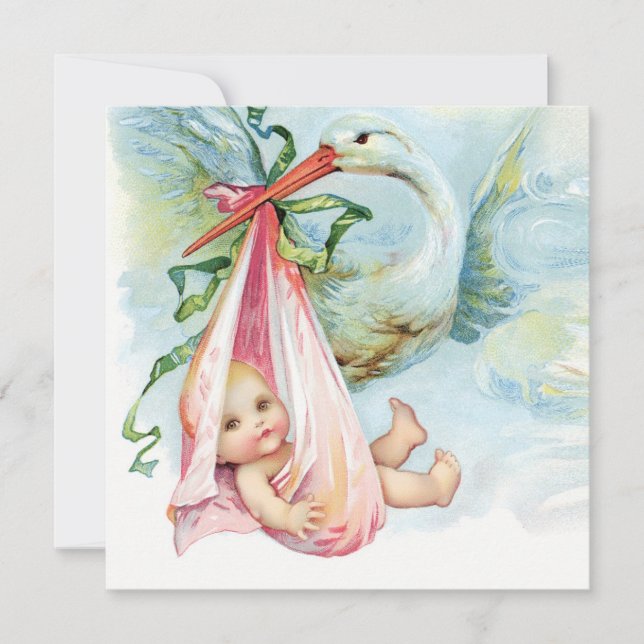 Aquamarin Blue and Pink Stork Baby Dusche Einladung (Vorderseite)