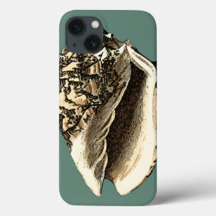 Aquamarin Conch-Muschel Case-Mate iPhone Hülle