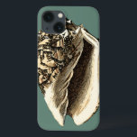 Aquamarin Conch-Muschel Case-Mate iPhone Hülle<br><div class="desc">In dieser schönen,  klassischen Muschel mit schwarz-weißer Konkade kann man die Schattierung einer natürlichen Muschel sehr scharf und klar sehen.  Sie können sich am Strand vorstellen,  auf der Suche nach Muscheln oder beim Spielen im Sand. Holen Sie sich diese nautische aquamarine Conch Muschel Kunst auf Ihre Lieblingsprodukte heute!</div>