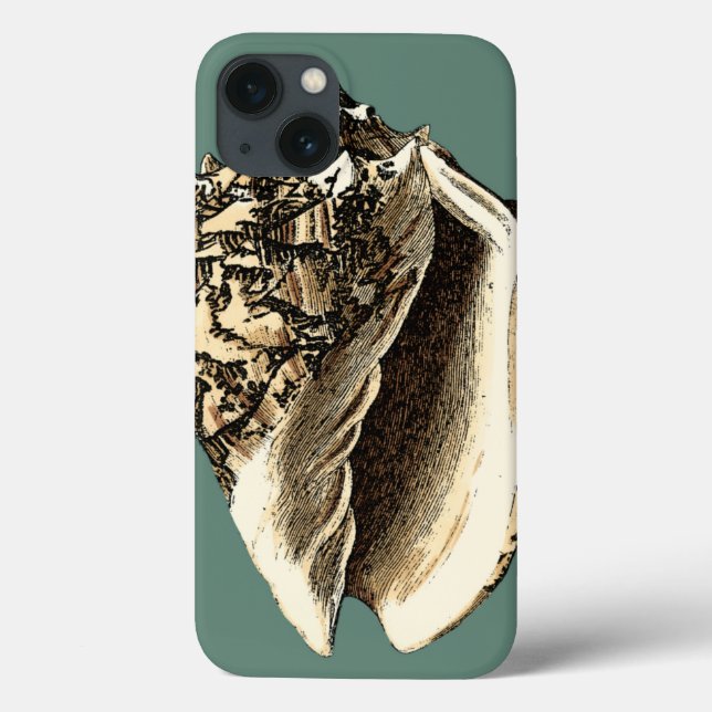 Aquamarin Conch-Muschel Case-Mate iPhone Hülle (Rückseite)