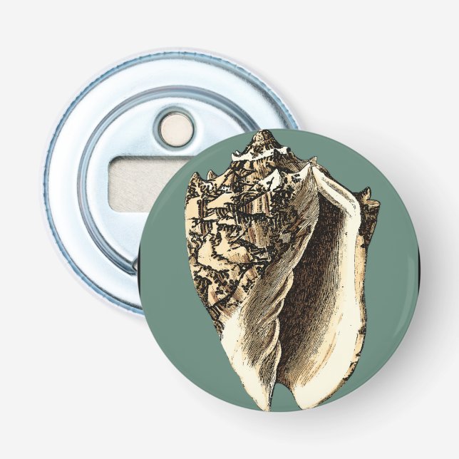 Aquamarin Conch-Muschel Flaschenöffner (Vorderseite)