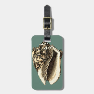 Aquamarin Conch-Muschel Gepäckanhänger